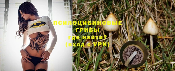 эйфоретик Баксан